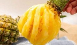 吃蜜瓜嘴唇出血