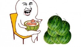 吃瓜奉献,见证时代变迁的民间视角