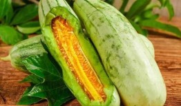 瓜有苦味可以吃吗,探究瓜类苦味与食用安全