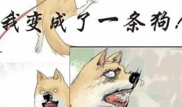 吃瓜高度小说,揭秘吃瓜群众的神秘世界