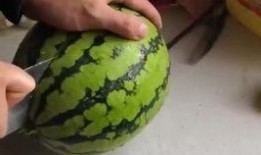 吃瓜被罚钱20,20元罚款警示网络言论边界