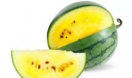 哪里方便吃瓜,跟随“哪里方便吃瓜”探寻清凉美食之旅