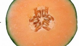 吃鸡心可以吃哈密瓜吗,跨界美食的奇妙碰撞