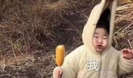 沙雕男孩带你吃瓜,沙雕男孩带你领略吃瓜乐趣