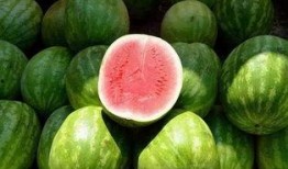 什么瓜是白籽瓜呢怎么吃,揭秘白籽瓜的食用方法与营养价值