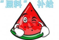 吃瓜偶现,揭秘娱乐圈幕后真相