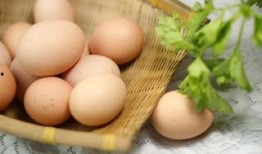 jds66吃瓜,揭秘jds66吃瓜背后的娱乐风云