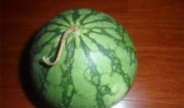 吃瓜必看的视频,一网打尽全网热议瞬间