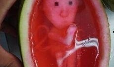 恐怖图片上吃瓜,恐怖图片中的吃瓜群众