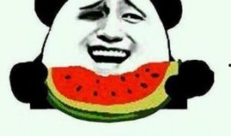 吃瓜群众真实的谎言,一场荒诞的“瓜界”风云