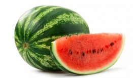 小卜丁吃瓜,小卜丁的瓜田奇遇记