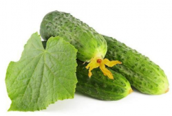 绿色精灵吃瓜,绿色精灵的甜蜜瓜果盛宴