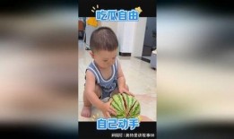 吃瓜自由小孩,揭秘新一代网络文化现象