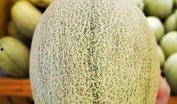 月子蜜瓜怎么吃,营养美味，轻松享用的月子期佳品