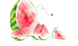 耐心吃瓜,见证娱乐圈风云变幻