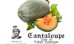 吃瓜号真假,真假难辨，真相究竟如何？