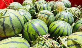 桥下面吃瓜,夏日里的悠闲时光