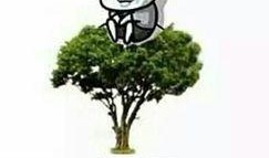 牛吃瓜表情包,趣味横生的网络文化现象