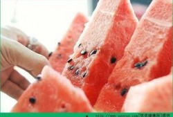 夜宵得吃瓜,解锁美食与娱乐的双重享受