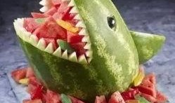 黑鲨吃瓜,揭秘海洋霸主吃瓜瞬间