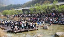 云台山吃瓜,瓜果飘香，尽享清凉美味