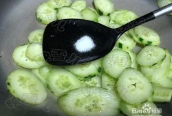 煮吃的瓜种,探索各式煮食瓜种的独特风味