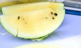 吃瓜板,吃瓜板带你领略明星幕后故事