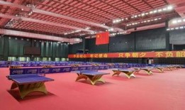 国乒集体吃瓜,揭秘赛场背后的欢乐时光