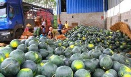 分享厂里吃瓜,共享欢乐时光