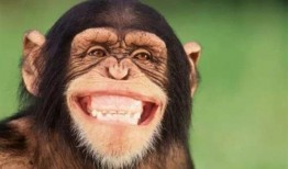 微笑黑脸吃瓜视频,揭秘网络短视频的趣味魅力