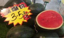 昆明公园吃瓜视频,趣味横生的夏日午后