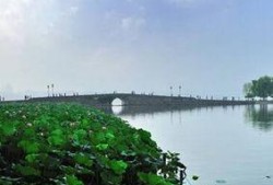 西湖断桥吃瓜,夏日吃瓜趣事多