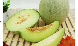 吃网纹瓜,探寻夏日消暑佳品