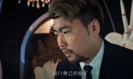 大型吃瓜神剧视频,揭秘幕后真相，带你领略娱乐圈风云变幻