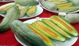 嫩瓜可以怎么吃