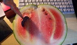 红哥吃瓜,揭秘娱乐圈幕后真相