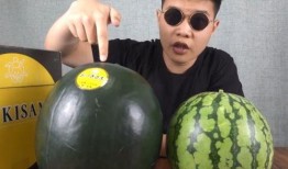 吃瓜 国产精品,吃瓜群众的热议焦点