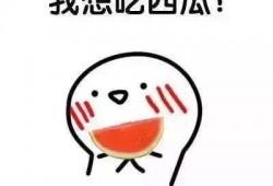 我吃瓜我唱歌,我吃瓜我唱歌的奇妙旅程