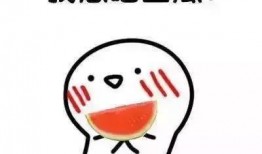 我吃瓜我唱歌,我吃瓜我唱歌的奇妙旅程