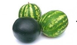 郯城同城吃瓜事件,一场网络舆论的风暴与反思