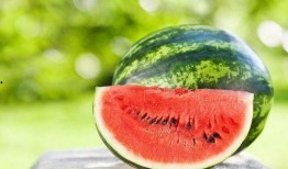 夏天瓜就要这么吃,夏季瓜类美食攻略